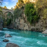 رفتینگ آلانیا