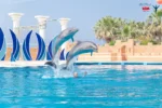 پارک دلفین ها در آلانیا