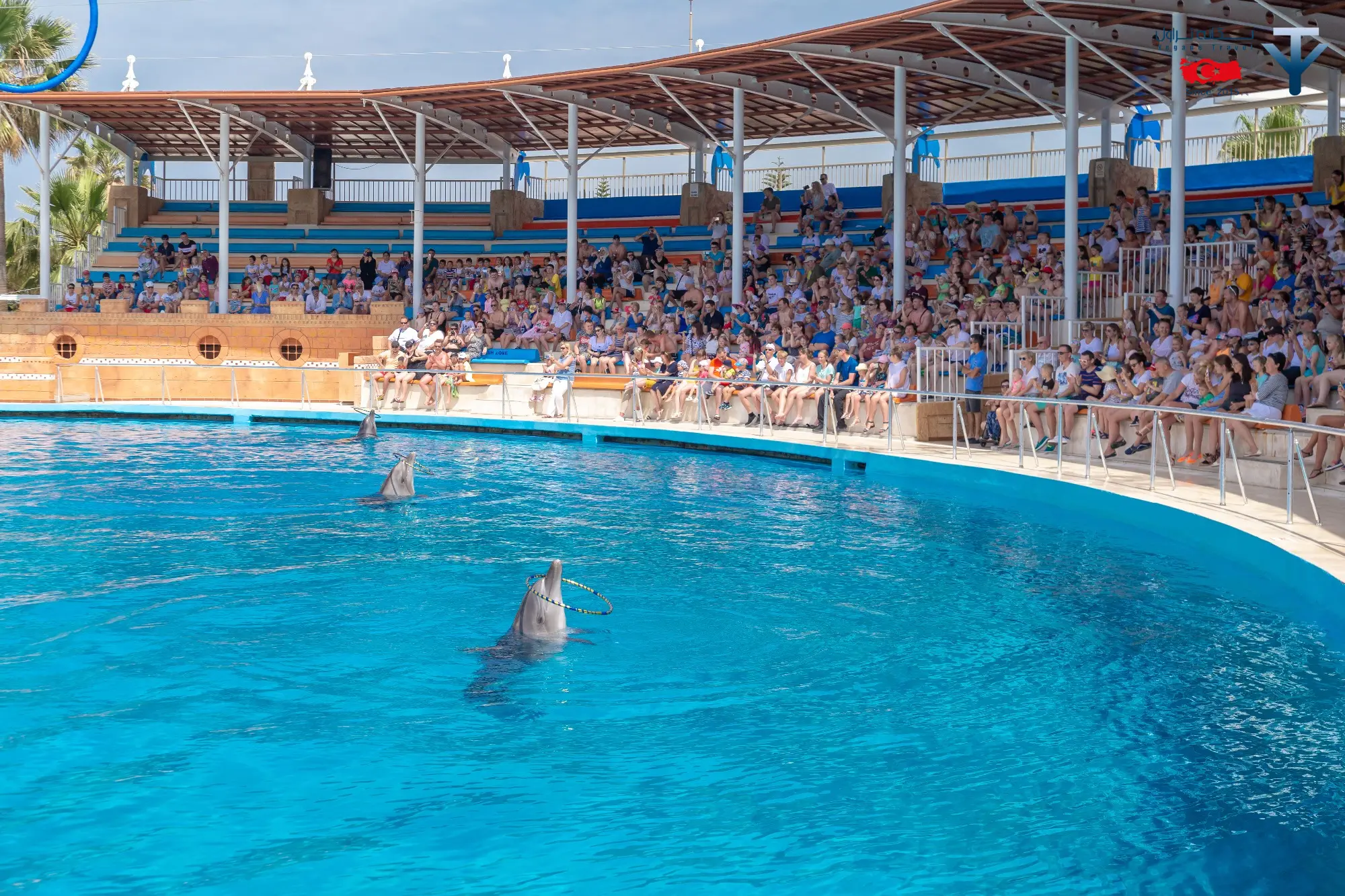 پارک دلفین ها در آلانیا