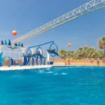 پارک دلفین ها در آلانیا