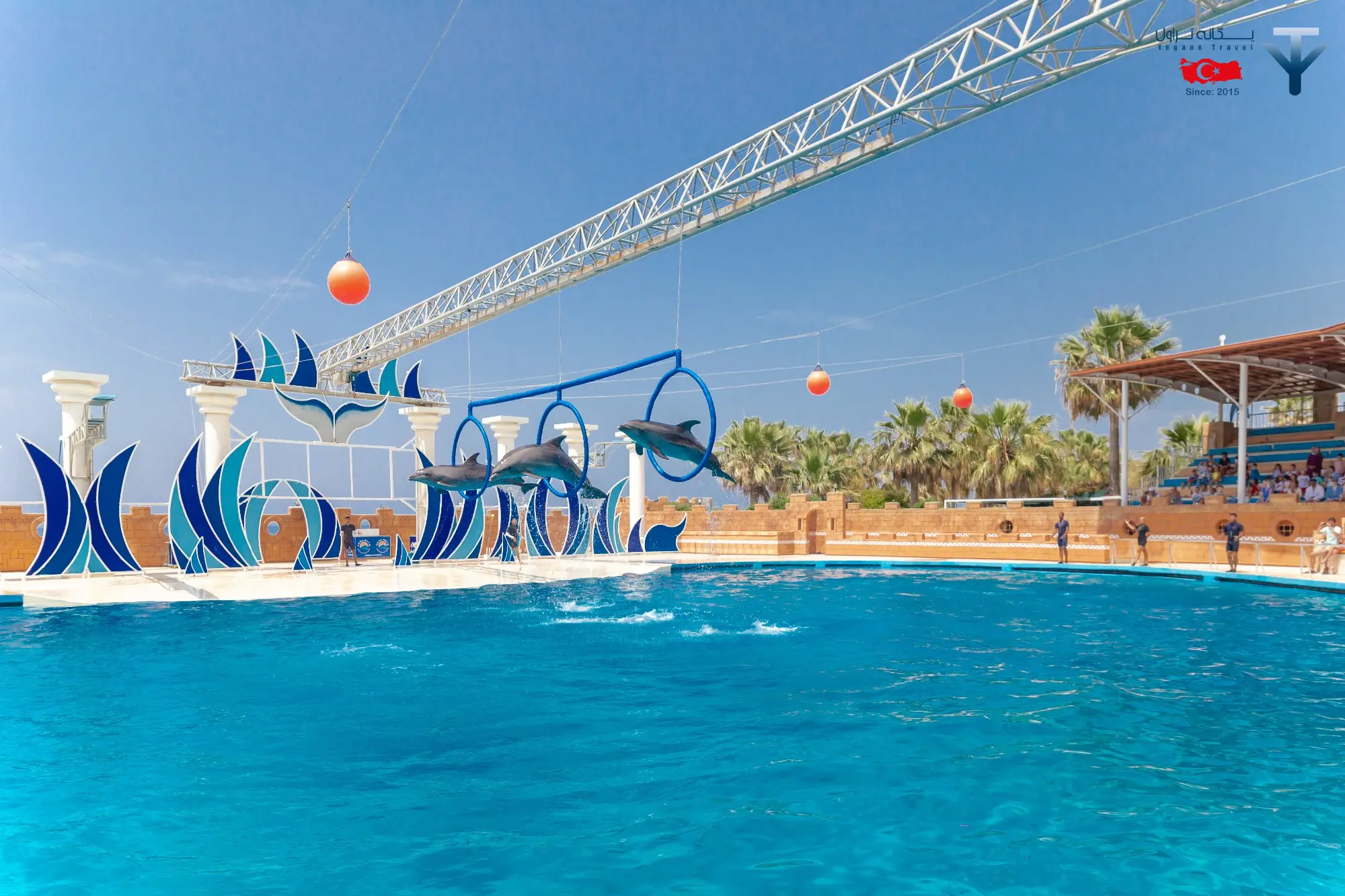 پارک دلفین ها در آلانیا پارک دلفین ها در آلانیا