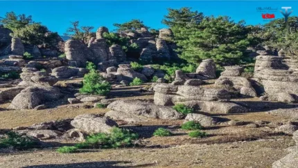 تازی کانیون از کنیالتی