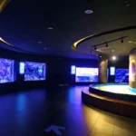 آکواریوم کپز