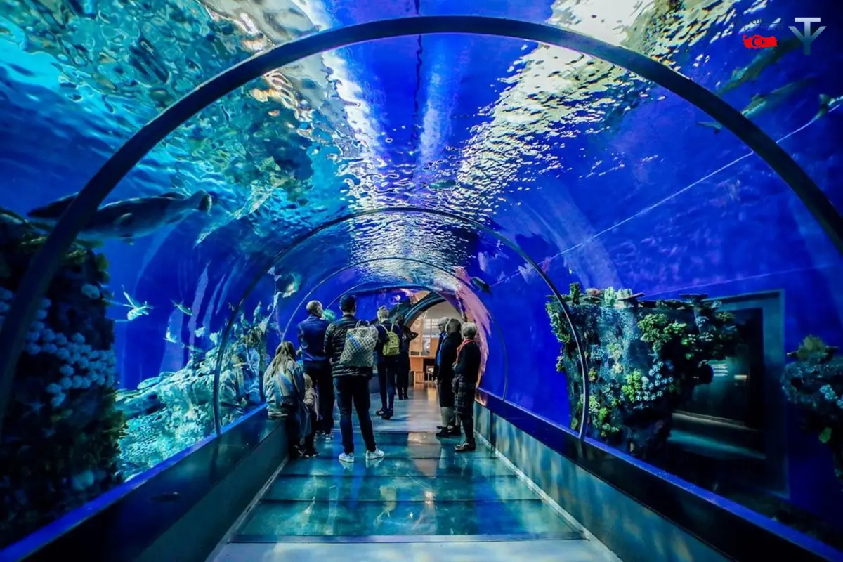 آکواریوم آنتالیا