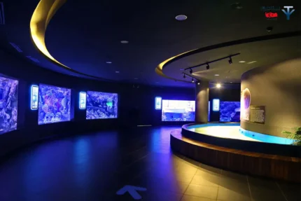 آکواریوم کپز