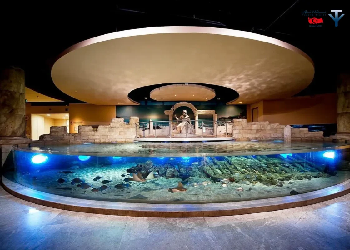 آکواریوم کنیالتی