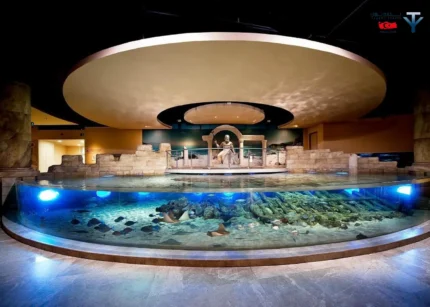 آکواریوم کنیالتی