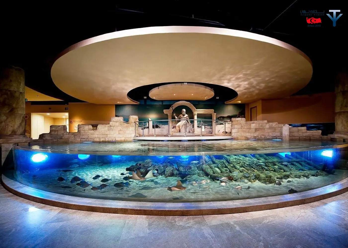 آکواریوم کنیالتی آکواریوم کنیالتی