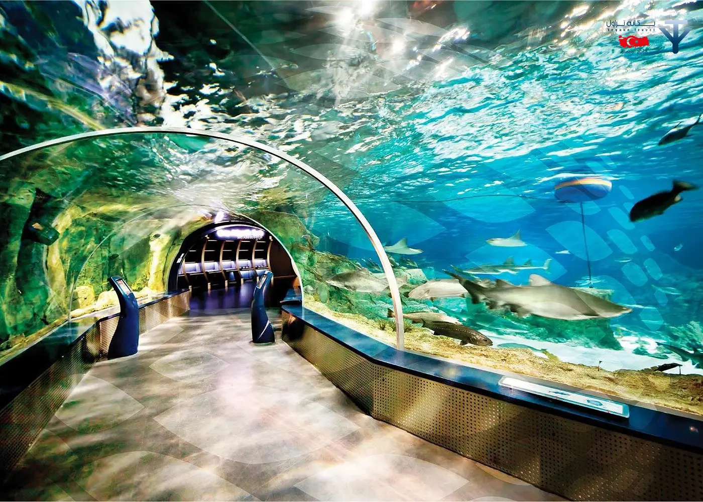 آکواریوم استانبول