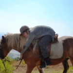 اسب سواری در کنیالتی