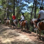 اسب سواری در کنیالتی