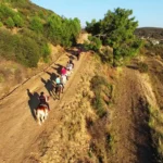 اسب سواری در کپز