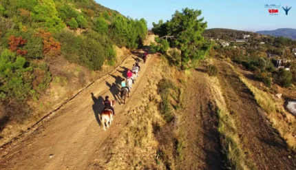 اسب سواری در کپز