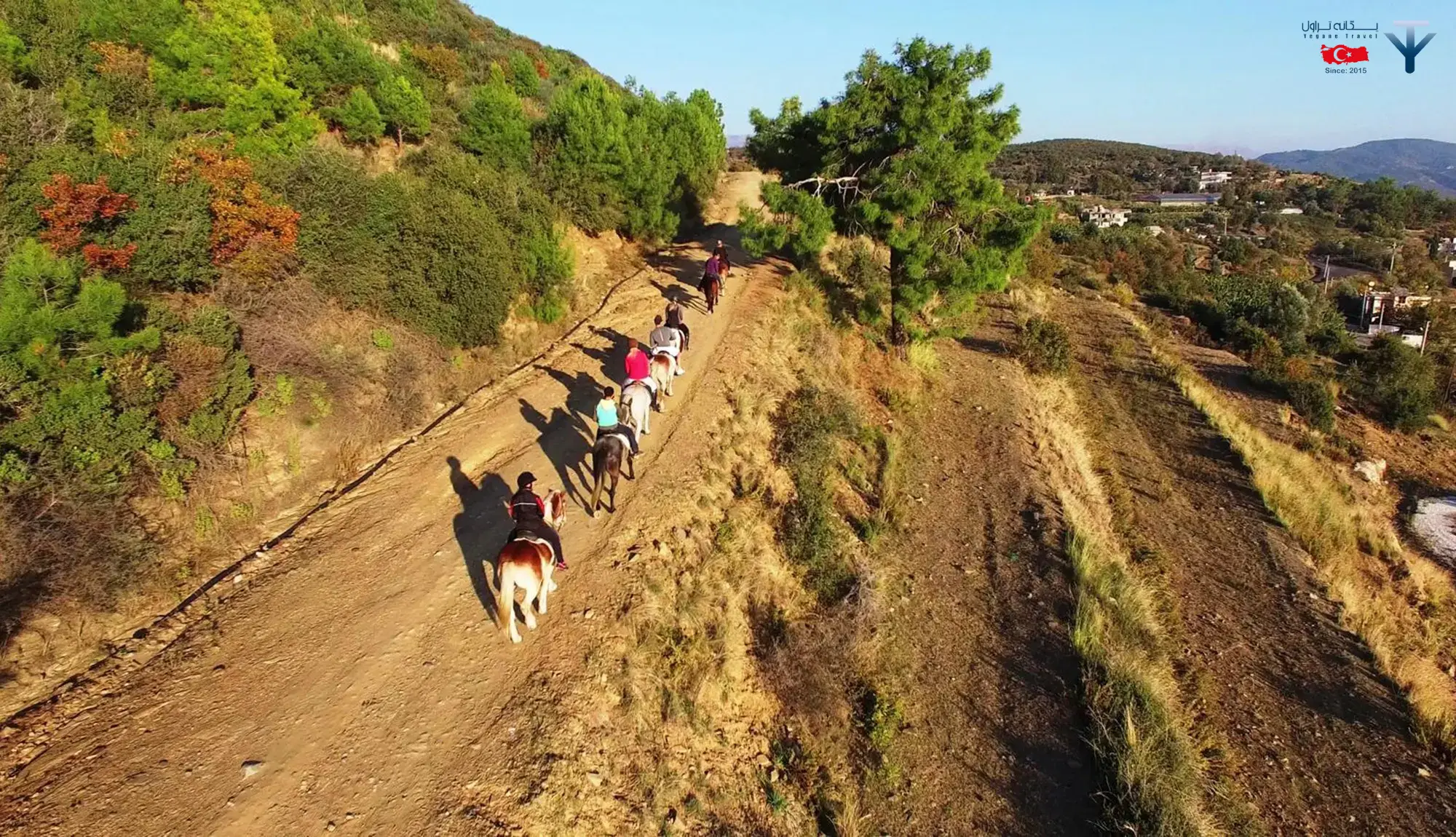 اسب سواری در کپز اسب سواری در کپز