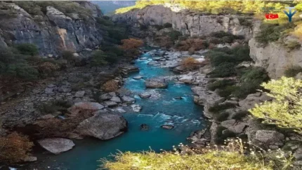 تازی کانیون از کوندو