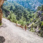 تور گوینوک کانیون از کنیالتی