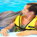 شنا با دلفین ها کنیالتی