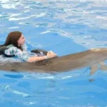 شنا با دلفین ها کنیالتی