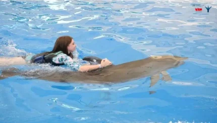 شنا با دلفین ها کنیالتی