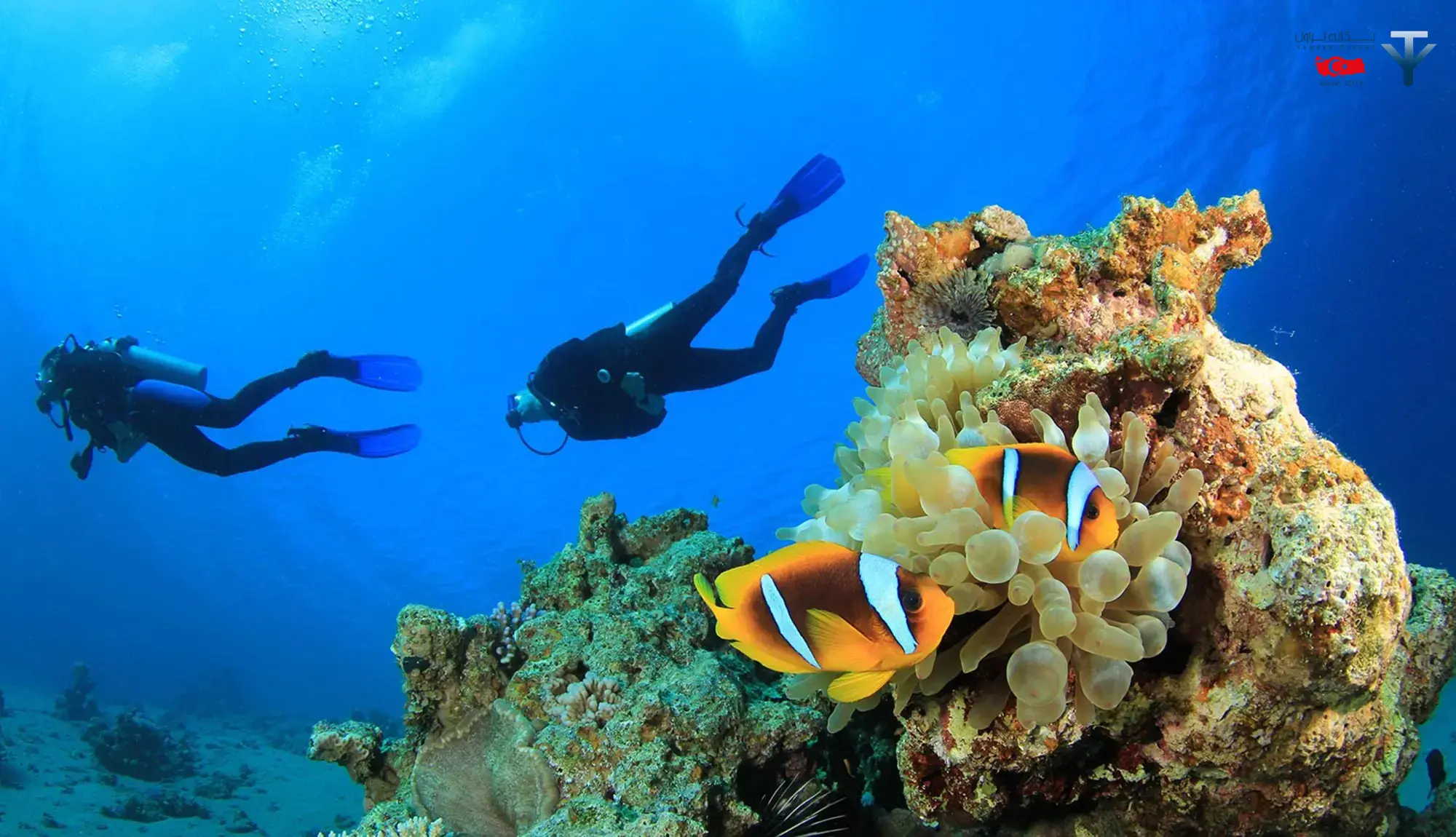 غواصی در آلانیا