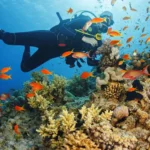 غواصی در آلانیا