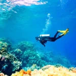 غواصی در کوندو