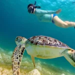 غواصی سطحی در آلانیا