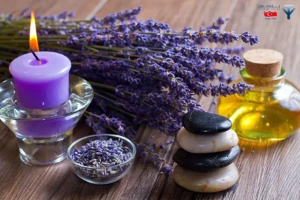 مزرعه لاوندر کپز