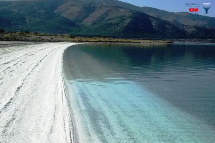 مزرعه لاوندر کنیالتی