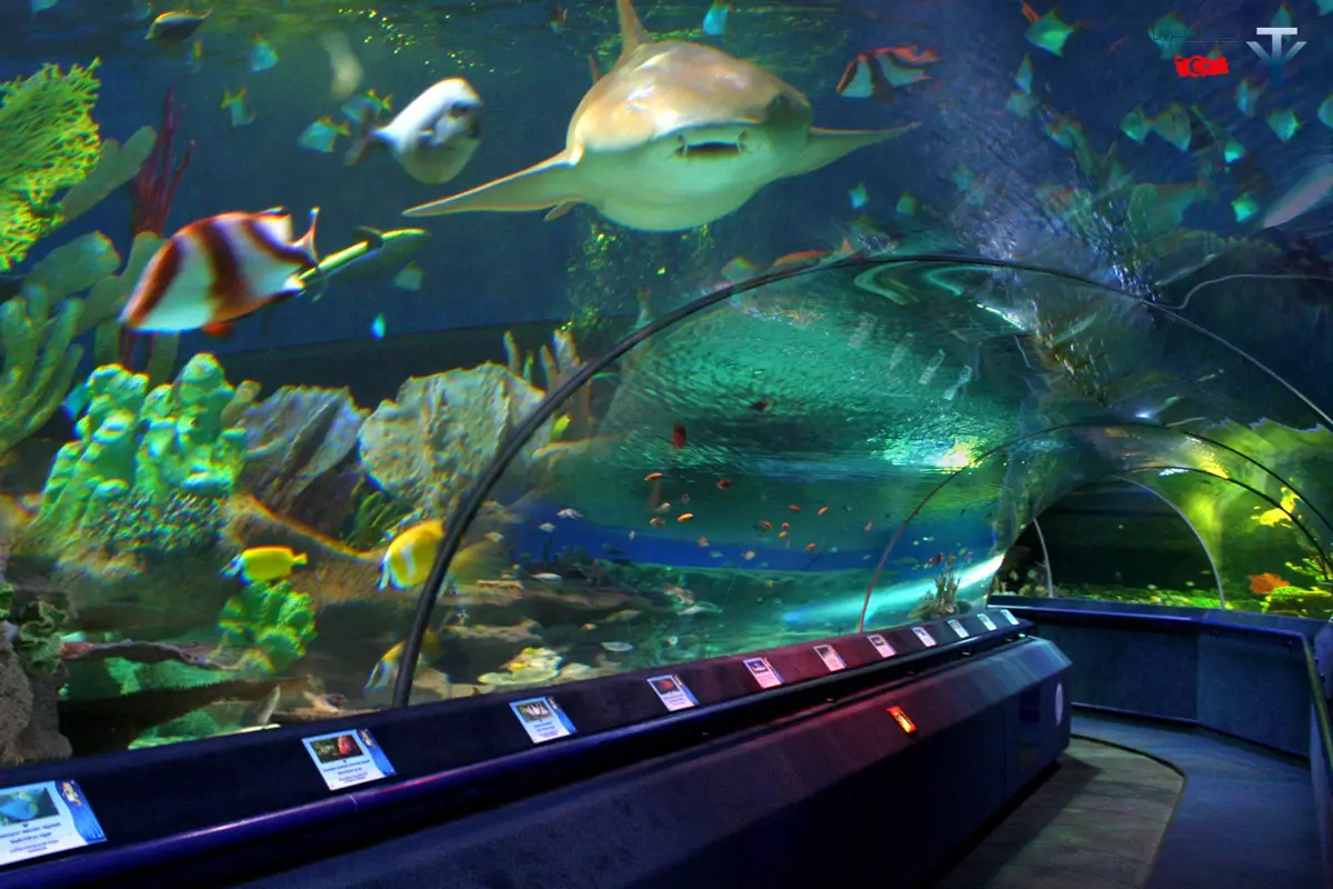 آکواریوم-آنتالیا-4 آکواریوم مورات پاشا - Image 1