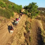 اسب سواری در مورات پاشا