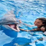 شنا با دلفین ها در مورات پاشا