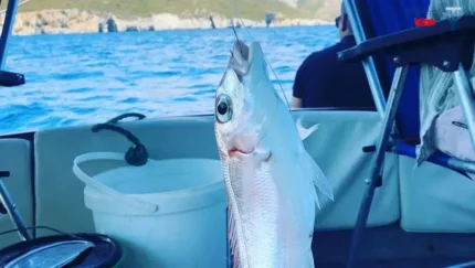 ماهیگیری در کپز 