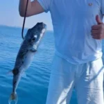 ماهیگیری در کنیالتی