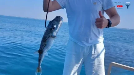 ماهیگیری در کنیالتی